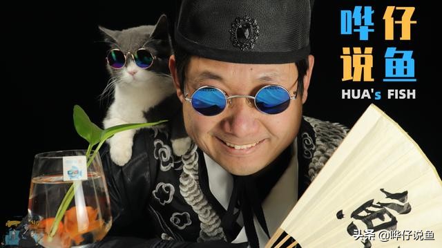 细菌屋滤材普通和石英哪种好,细菌屋滤材小号的还是大号的好