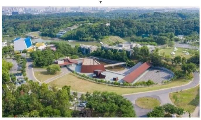 南京绝美的打卡圣地,南京文艺之旅十大必去之地