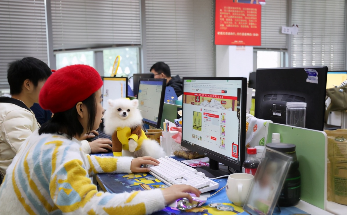 不开直通车淘宝卖家还能活下去吗,淘宝不开直通车开什么比较好