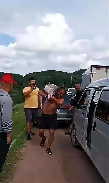 一男子钓鱼被一大妈买下放生,沈阳男子在棋盘山水库钓到大鱼