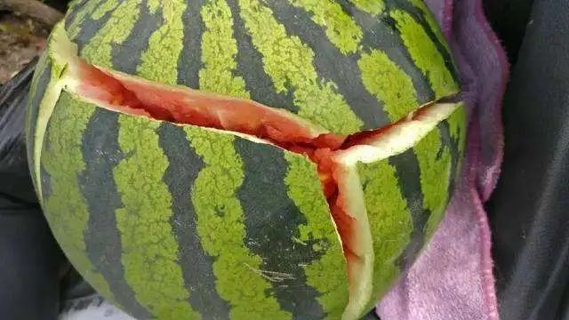 正常的子宫能不能切,子宫动过刀子还能怀孕吗