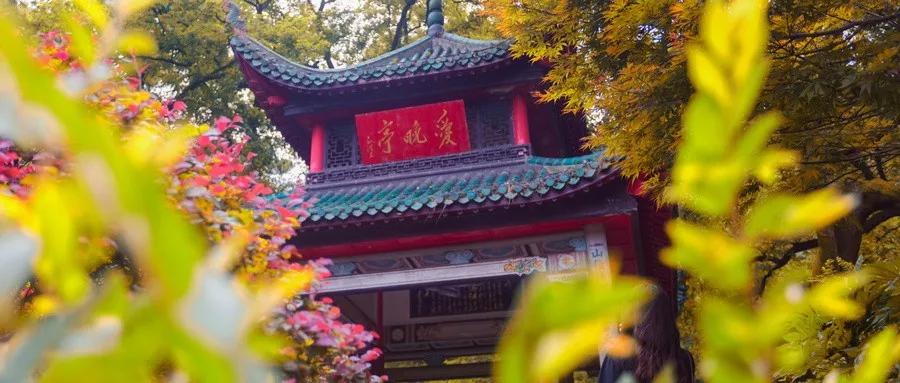 1月份去厦门机票怎么买便宜,7月2日厦门特价机票