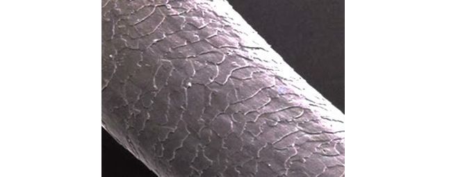 头发干枯分叉怎么护理,漂完头发干枯怎么护理