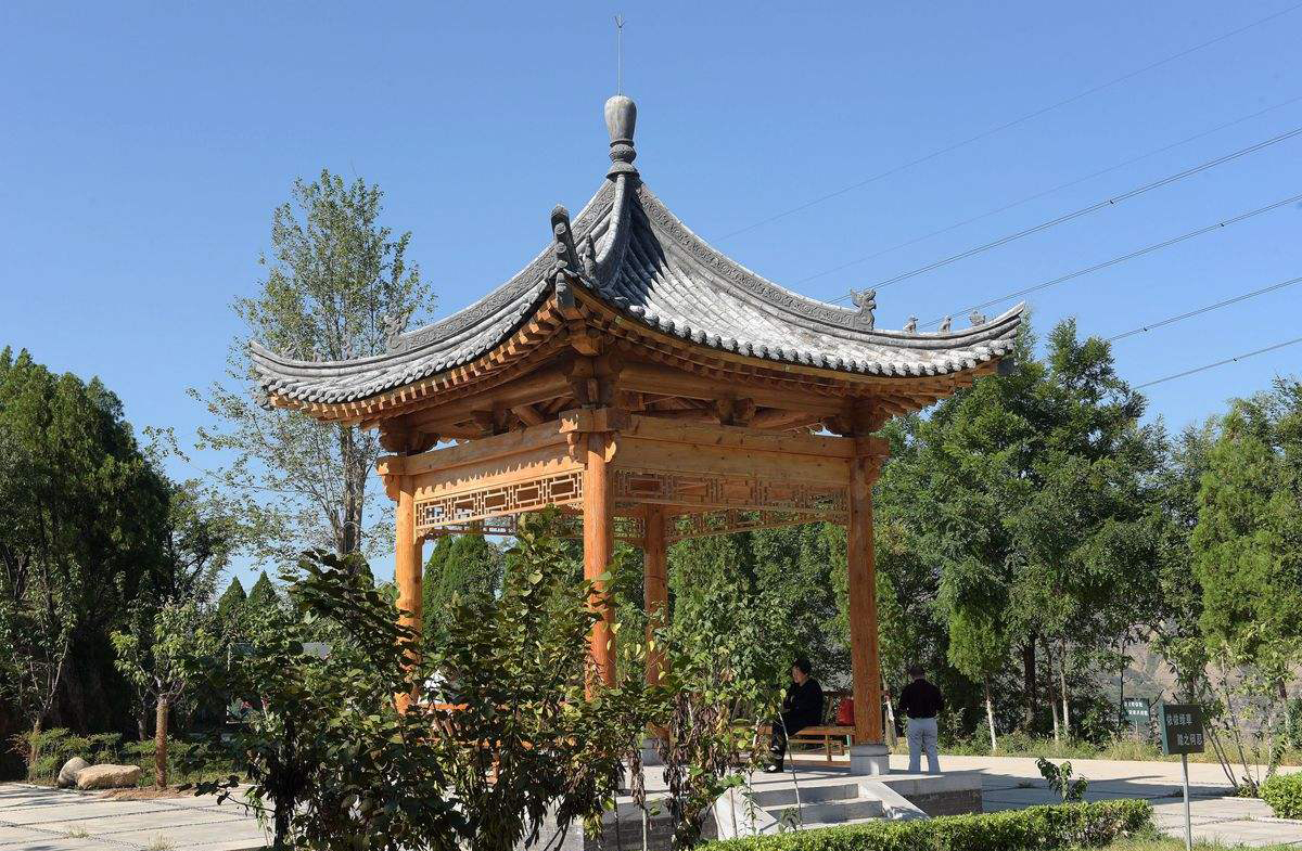 渭高一本上线率,渭高一本率