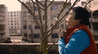 它曾是家家户户院里的“小宠儿”，那些时代是否已经一去不复返？