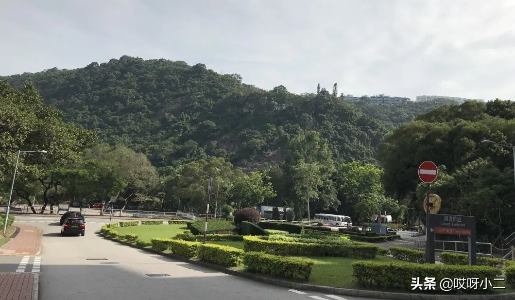 “天人合一”的香港，是我最中意的地方