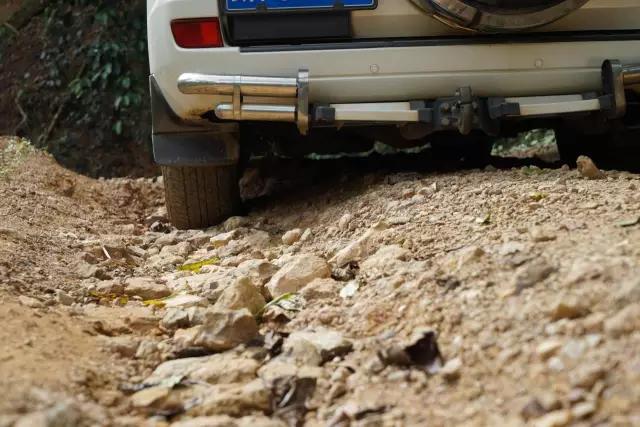 在网上真的难买到好茶,为什么在网上买不到好茶