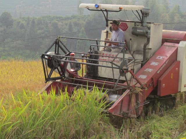 种地的成本和利润,农民种地赚钱亏本