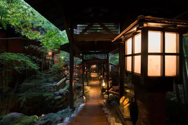 熊本县宫苑温泉,温泉县秘境森林康养中心