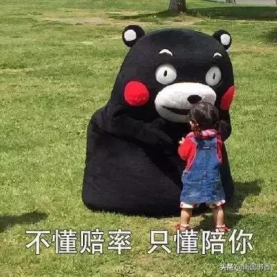 球场无情,球场无情人有情