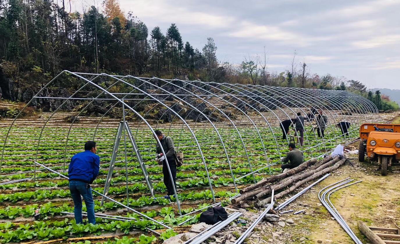 大棚建设注意什么,大棚建设以及安装