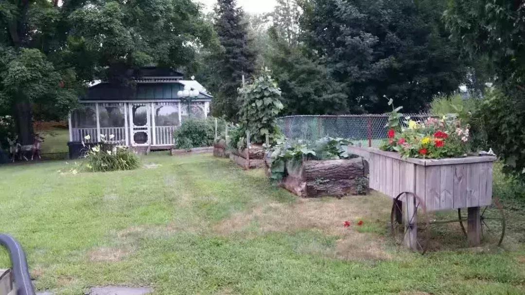 在美国做护士需要什么条件,在国外当护士真的好吗