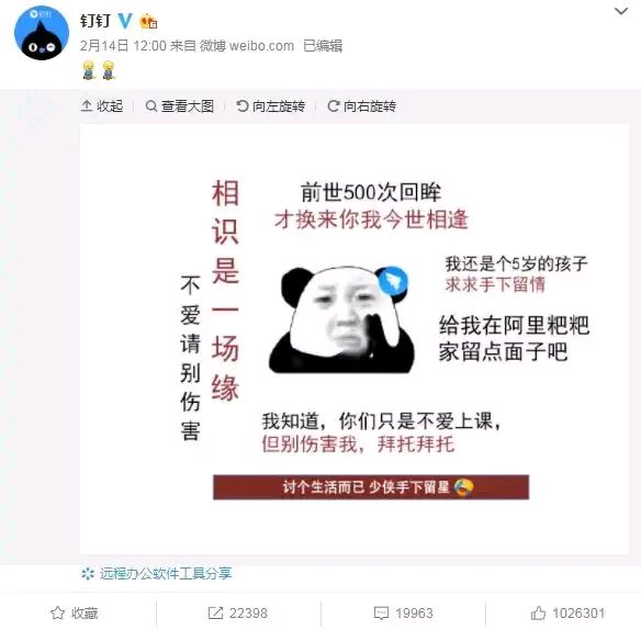 小学生对钉钉的差评,钉钉为什么成为了全小学生的噩梦