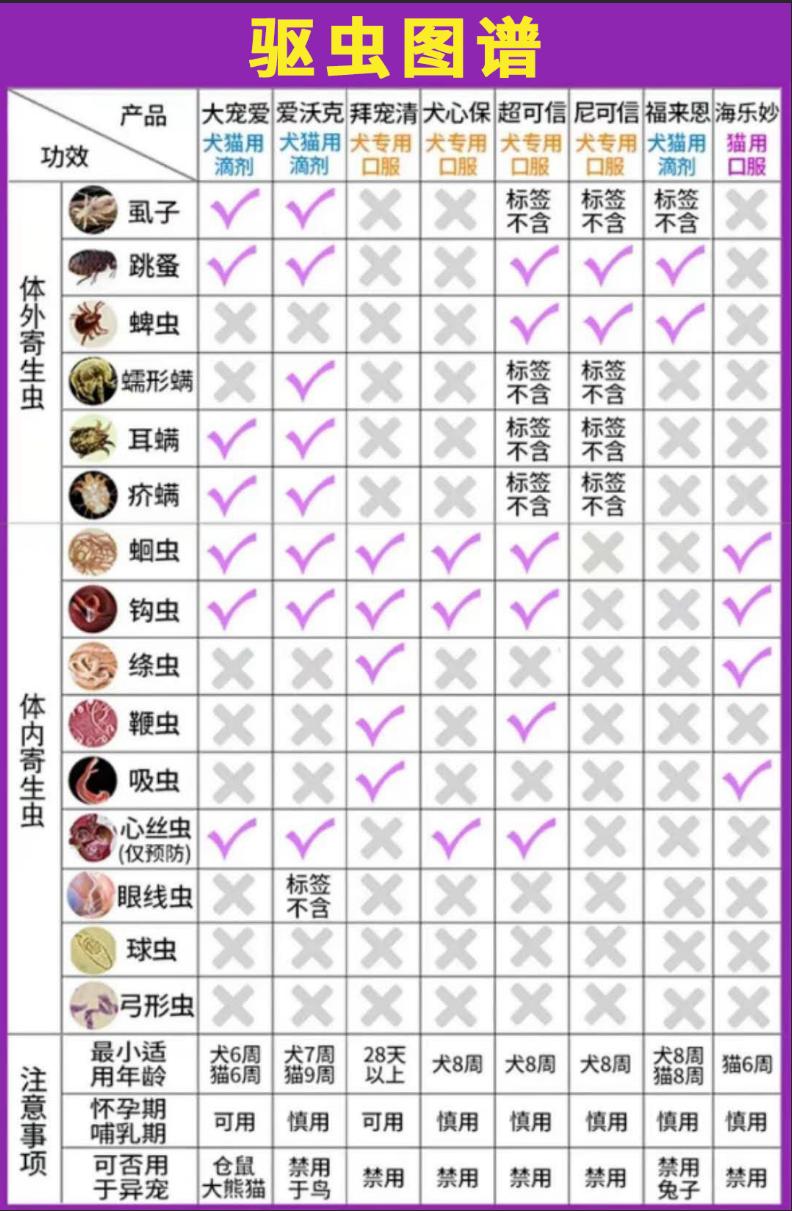 关于宠物驱虫的10个知识点,宠物驱虫小常识海报