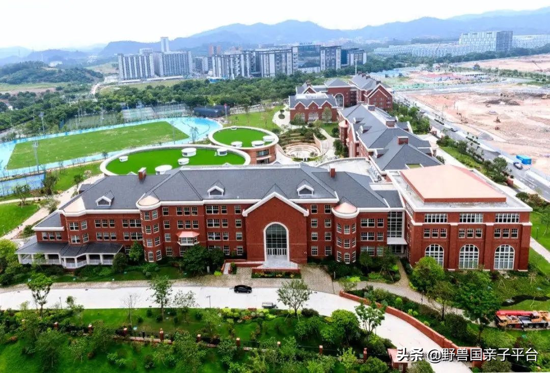 一年20万学费的清澜山学校,都在学些什么?