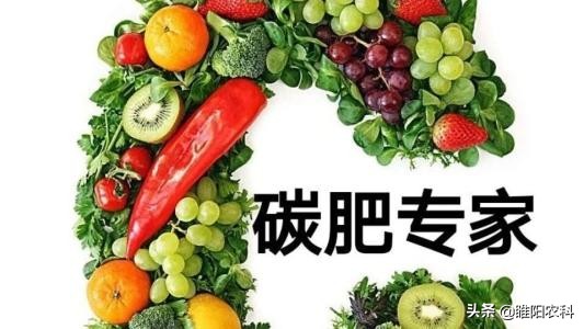 碳肥能提供什么,碳肥的作用与使用方法