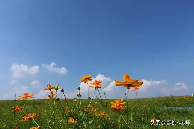 巢湖四中学校咋样,巢湖四中是最强的吗