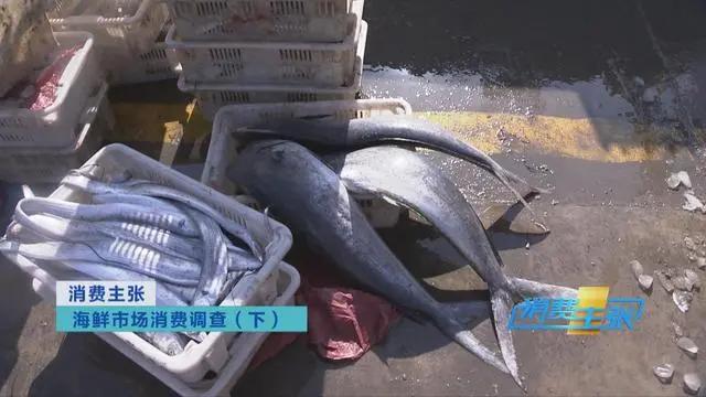 三亚海鲜市场皮皮虾多少钱一斤,海鲜市场上的皮皮虾