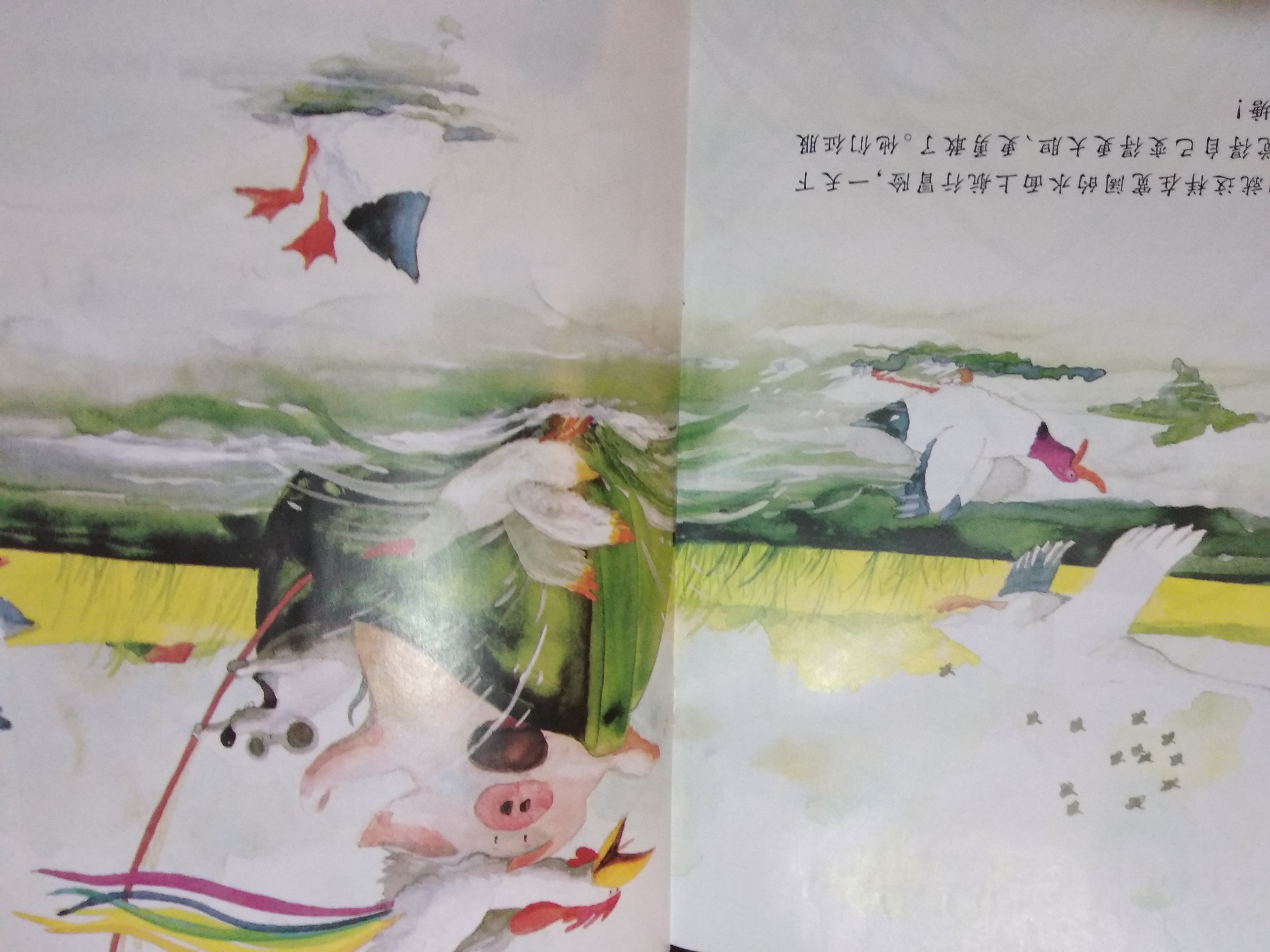 关于认识好朋友的绘本,怎么讲好朋友绘本