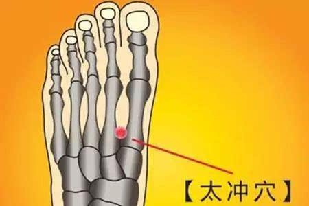 详细解说经络穴位的书籍,经络详解书籍大全