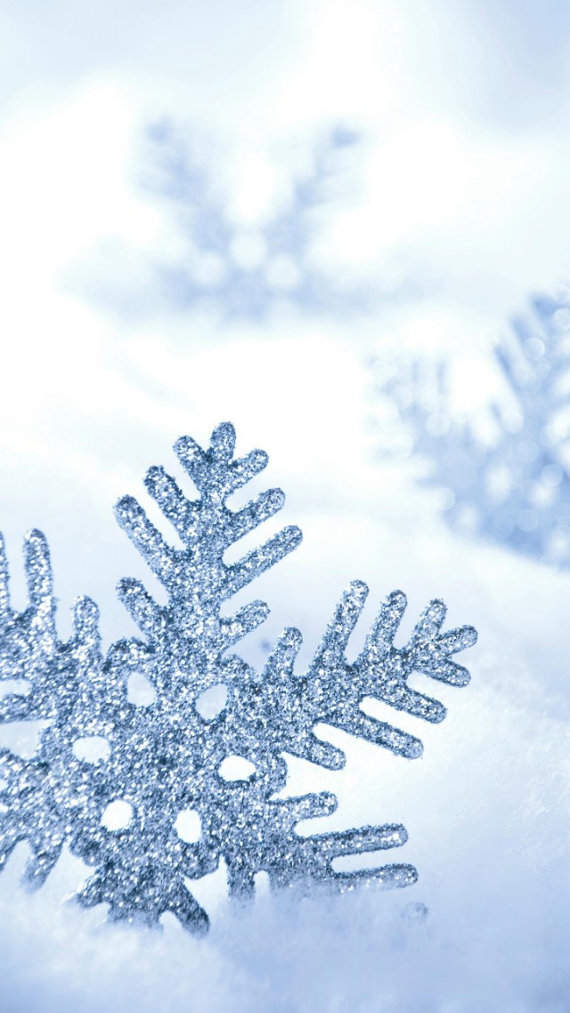 冬之韵23,冬之韵