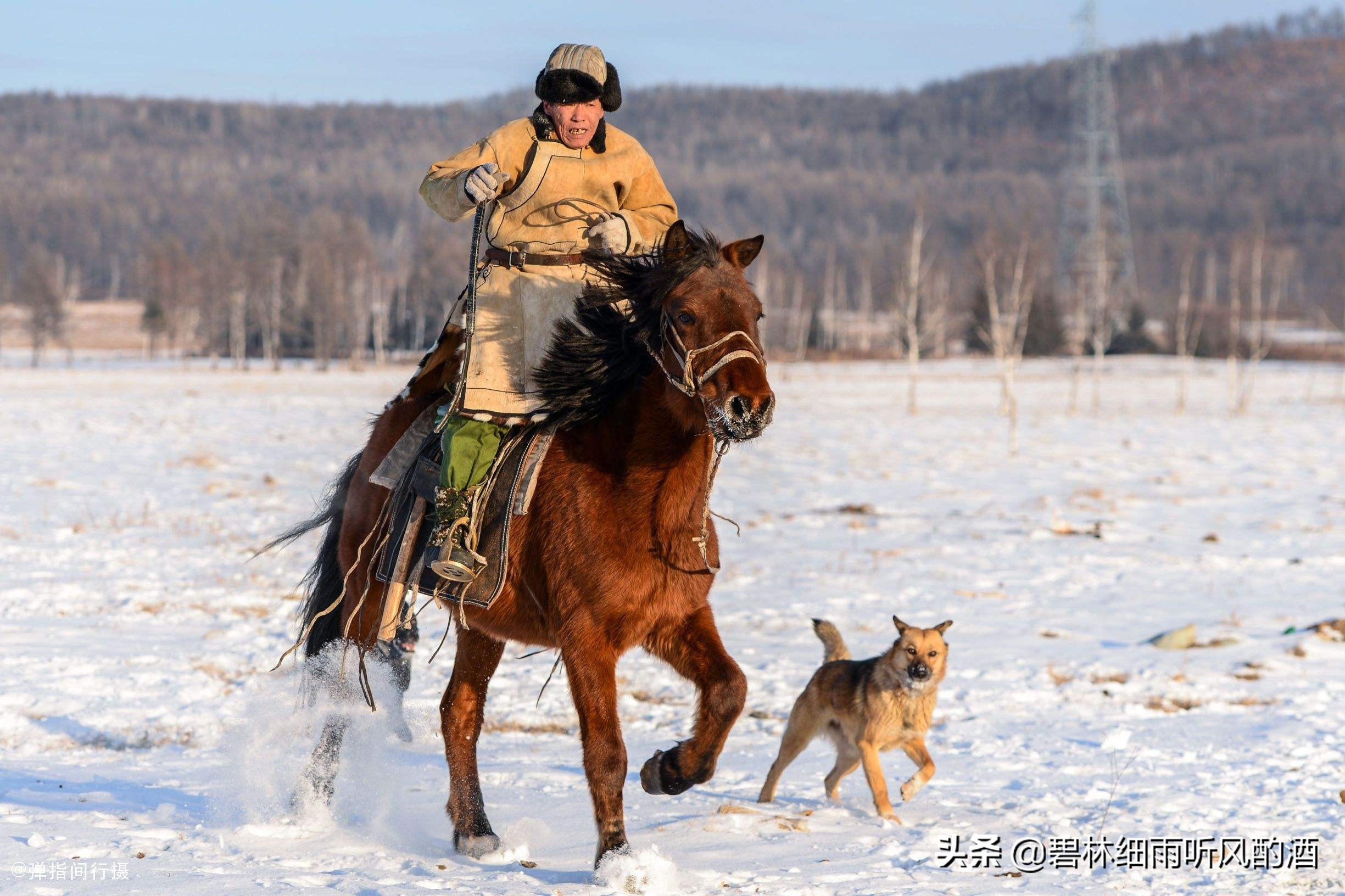 卜奎故事,卜奎史话