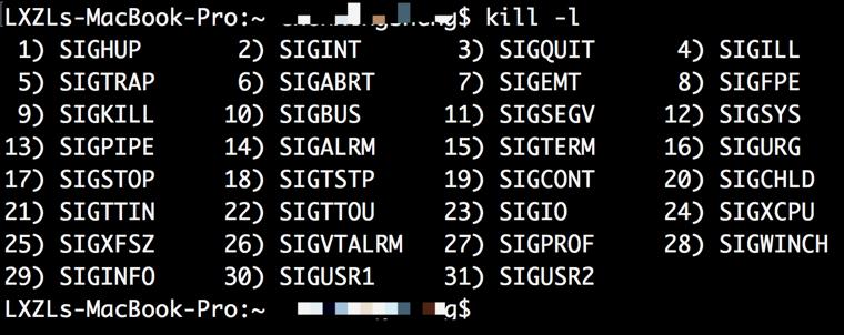 一文吃透ai芯片技术路线,php进程原理