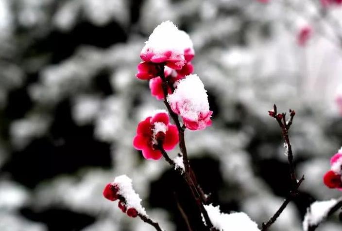 原创诗词14首,经典诗词36首