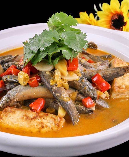 泥鳅鱼肉含元素多,泥鳅鱼胶原蛋白含量高吗