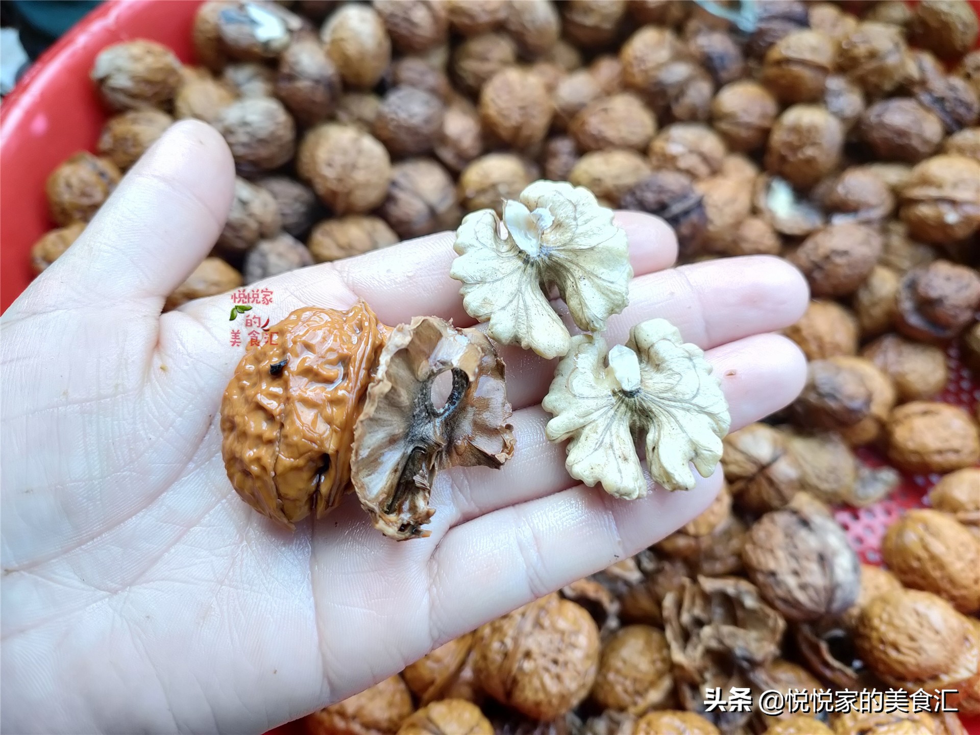 怎样才能正确的剥核桃里面的果肉,怎么徒手剥一个完整的核桃