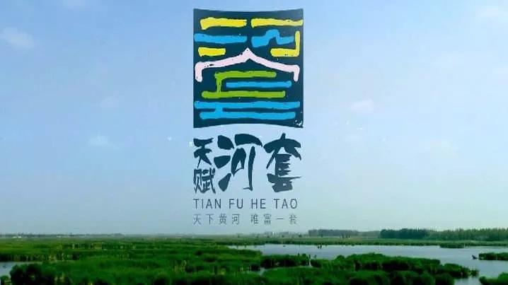 内蒙古锡林郭勒吃羊肉,内蒙古锡林郭勒羊肉整只