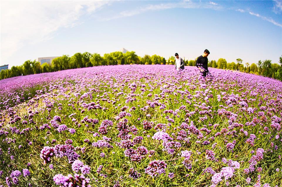 枯竭城市石嘴山,资源枯竭型城市宁夏石嘴山市