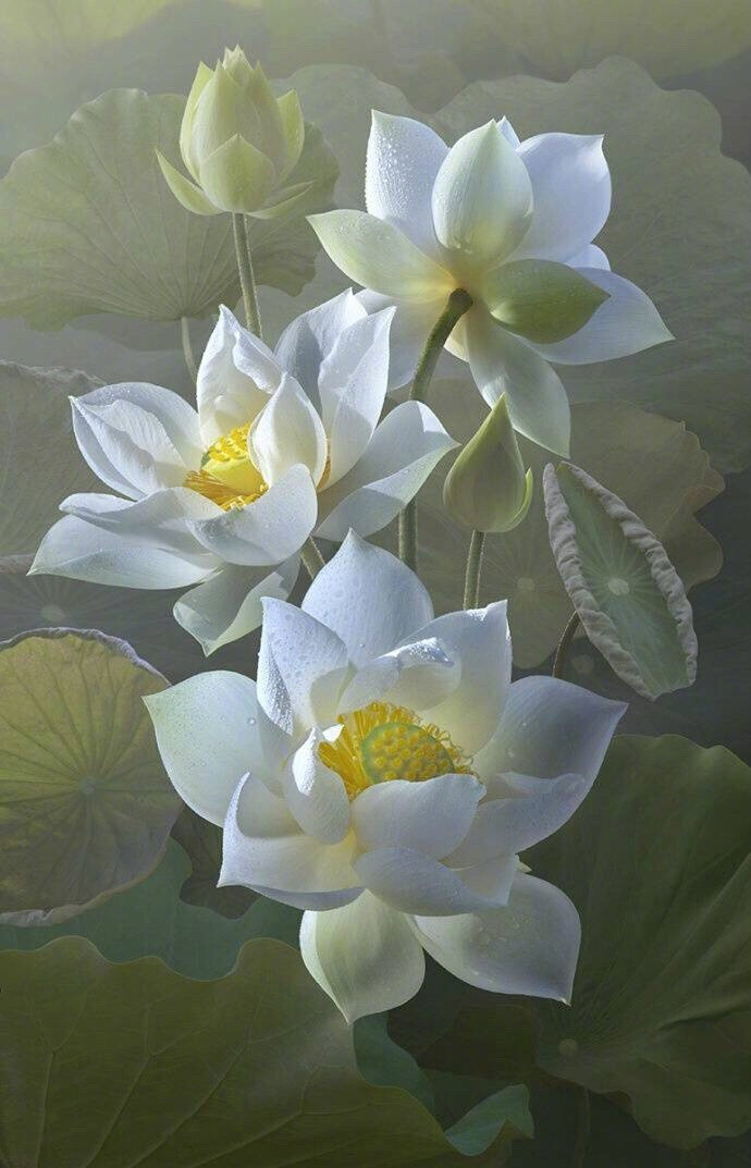 古诗十九首每首名句鉴赏,古诗十九首以长于说理著称