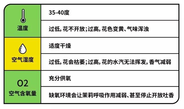 中茶的茉莉花茶叶怎么样,好茶的标准茉莉花茶