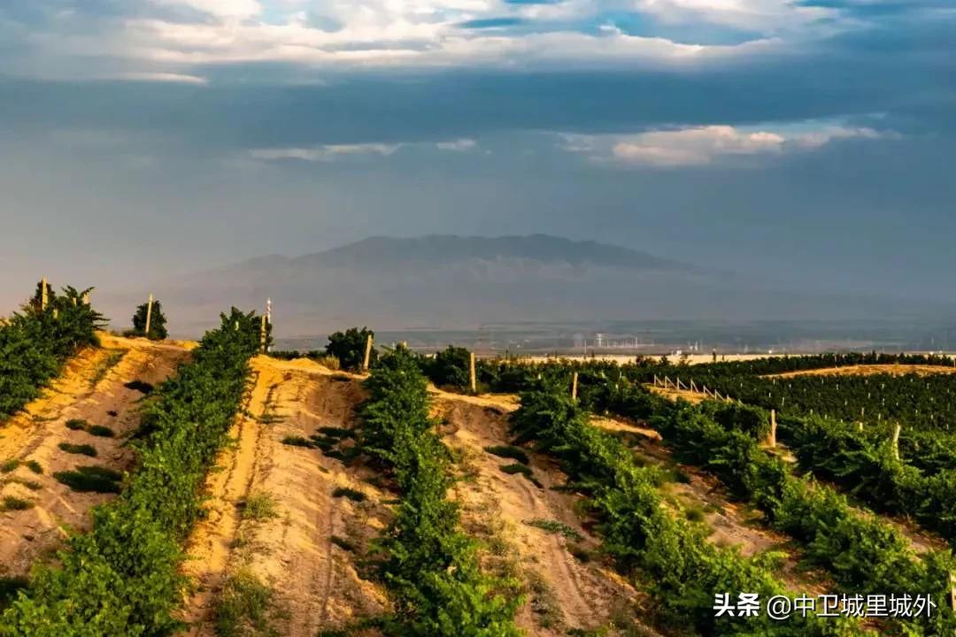 宁夏最穷人口最少的市,宁夏最富的县vs宁夏最穷的县