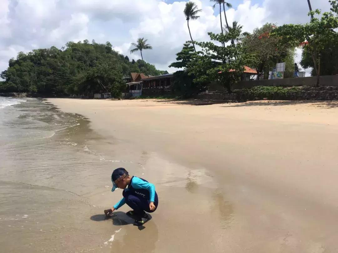 泰国4日游自由行旅游攻略,泰国甲米岛3日旅游攻略