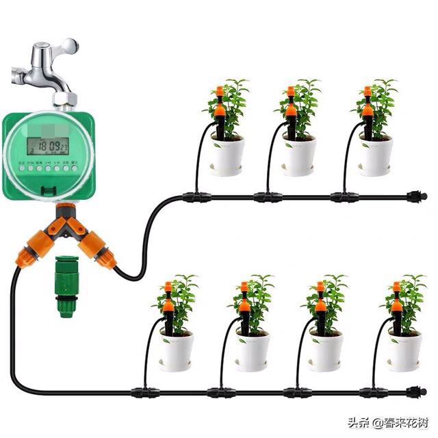 出差旅行又担心花草没浇水干死？学会三招，出去多久都不用担心