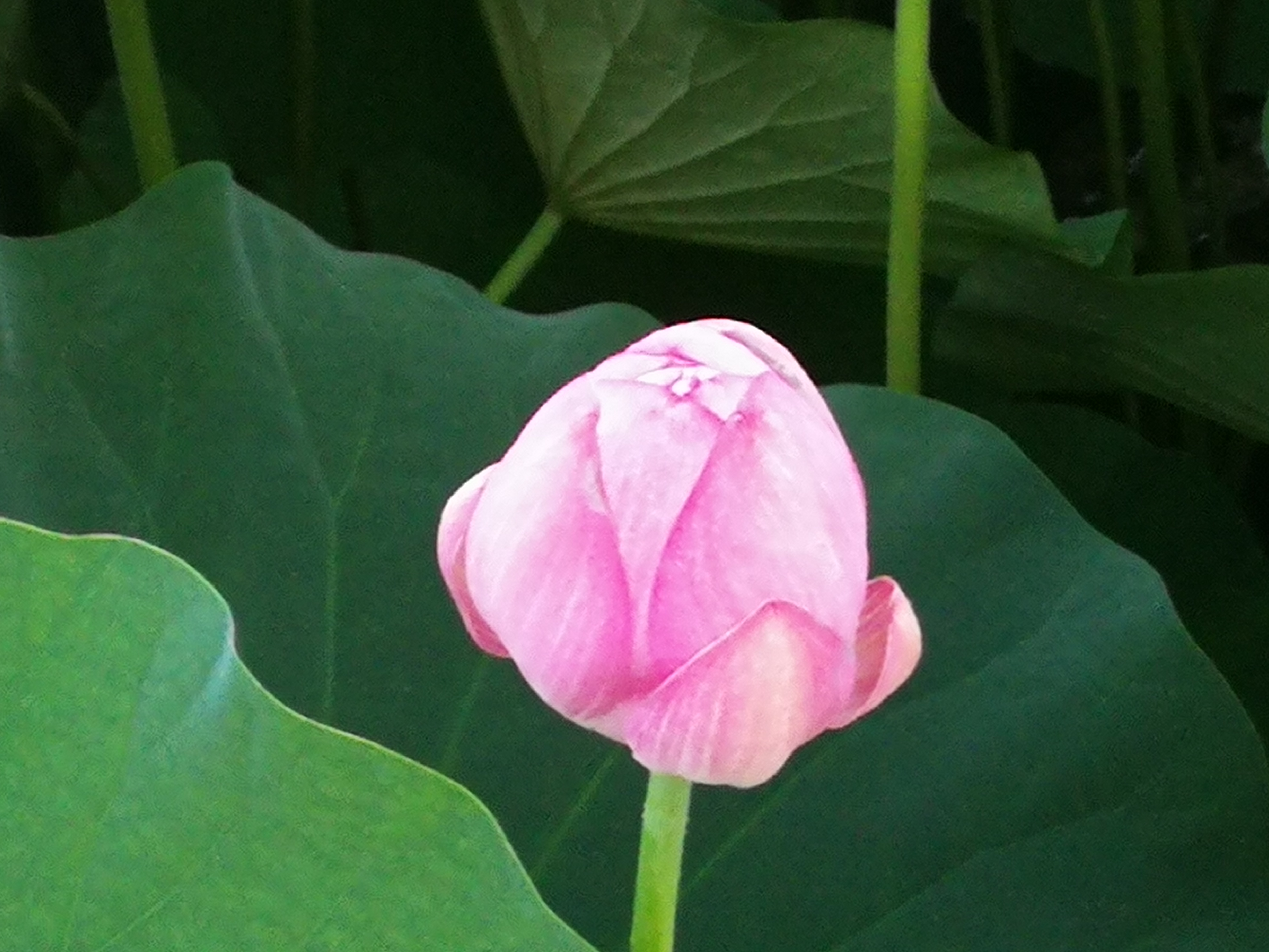 银行信用卡是怎么盈利的,信用卡给银行带来的收入