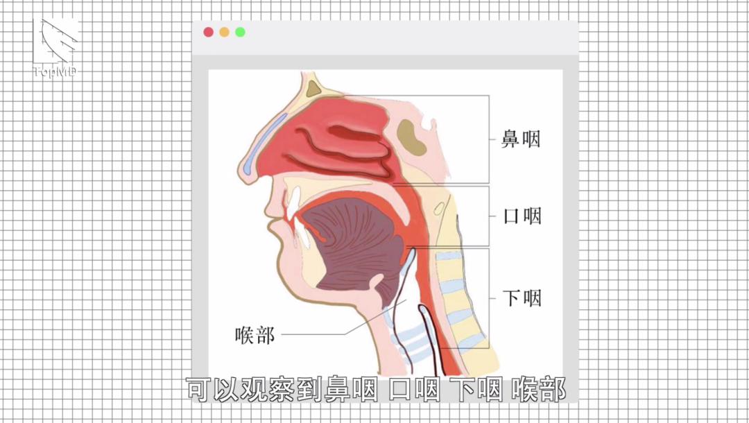 体检出eb病毒能治愈吗,体检报告eb病毒