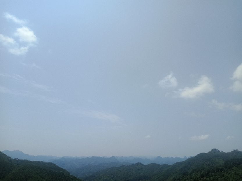 中国人民武装警察部队森林消防,武装森林警察部队