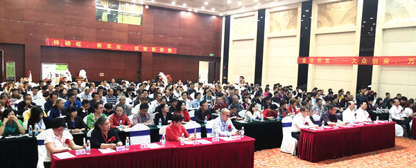 广西博白县养殖致富项目,金港扶贫