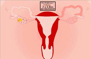 子宫内膜息肉会导致不孕的情况吗,子宫内膜息肉会导致不孕吗