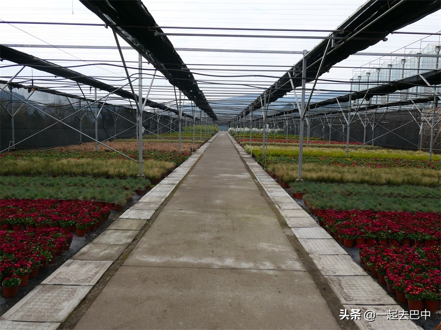 向幸福出发松潘,巴中南江旅游景点