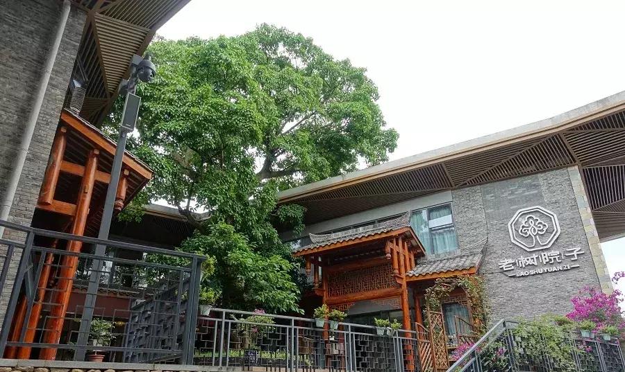 峨眉山下民宿推荐网红,峨眉山下避暑的民宿