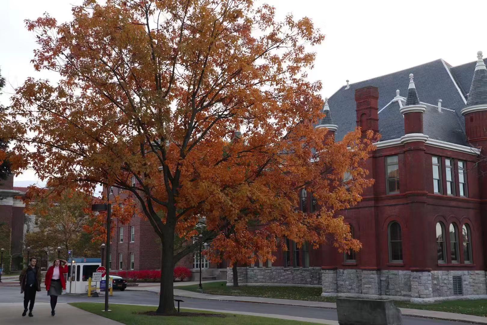 美国大学招生官看重体育吗,美国大学招生禁止考虑种族