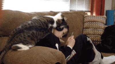 村民建房的风水,农村村长家的房子都是什么样