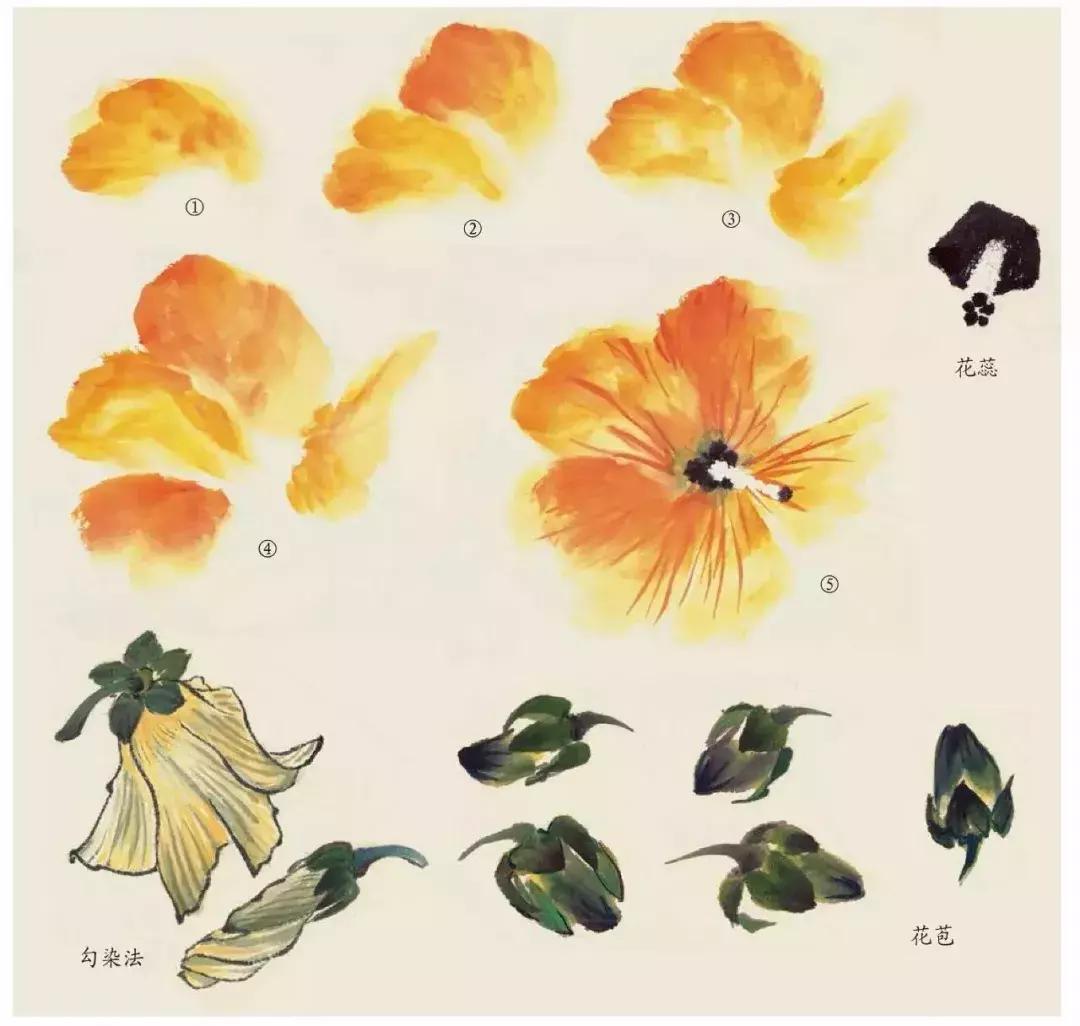 国画团扇花卉画法,国画中常见花卉的画法