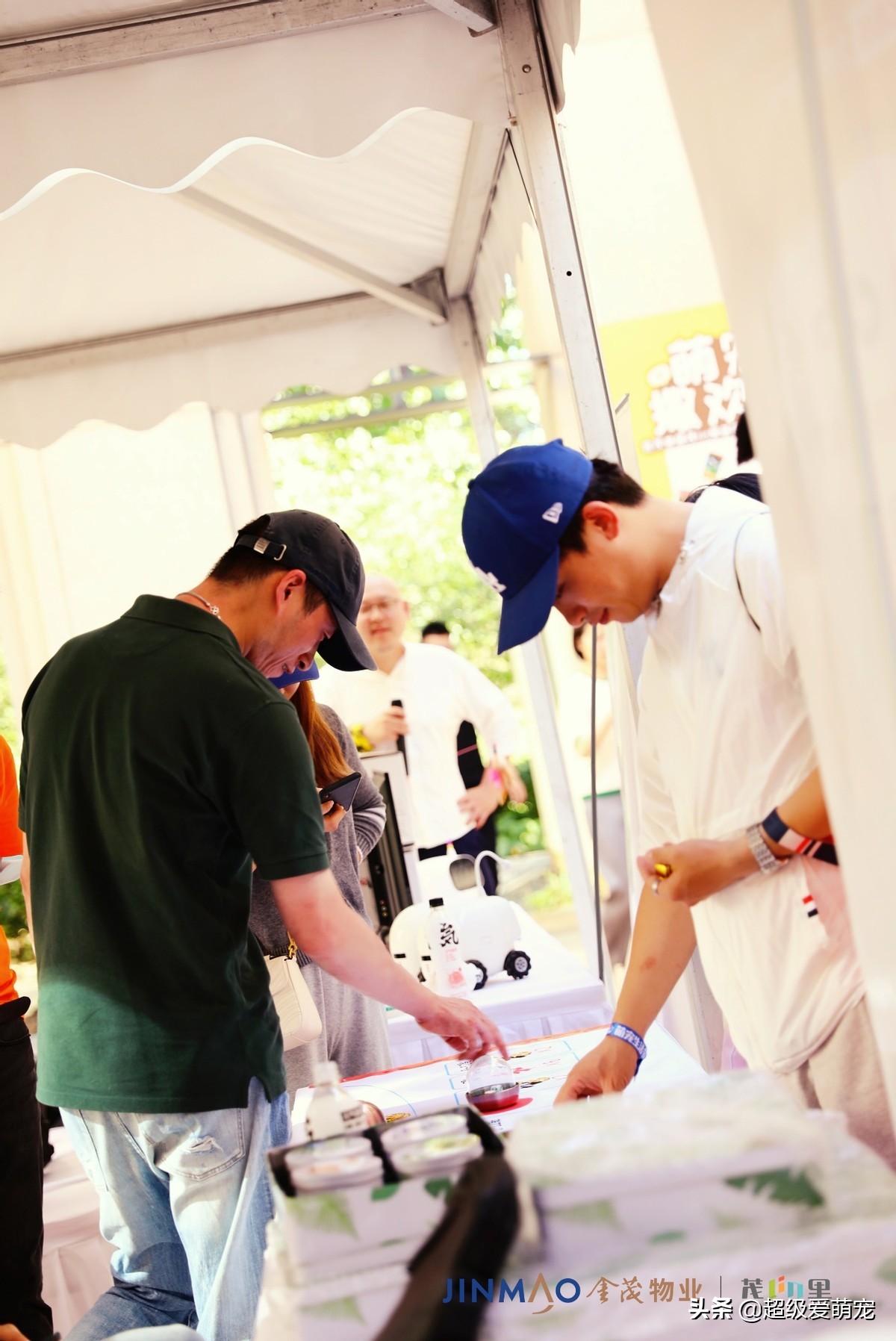 金茂广场萌宠生活节,金茂物业活动