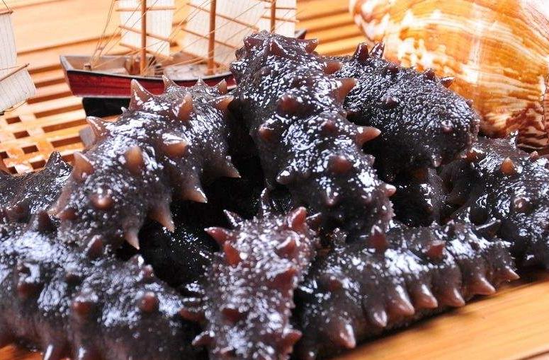 怎样鉴别参龄海参,怎样判断海参是几年参