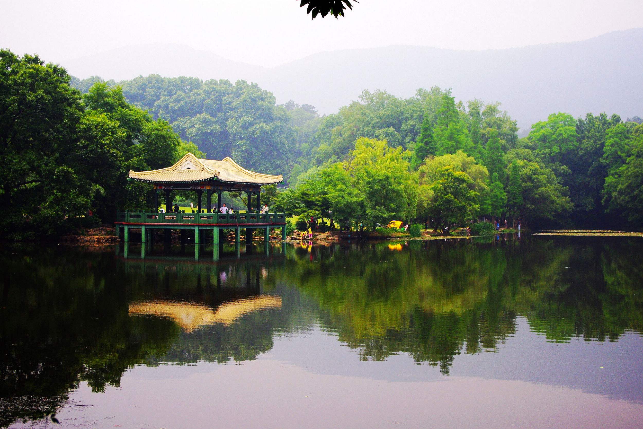 共和国荣誉勋章获得者钟南山照片,共和国勋章钟南山院士事迹